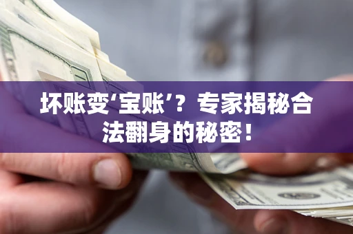 北京坏账变‘宝账’？专家揭秘合法翻身的秘密！