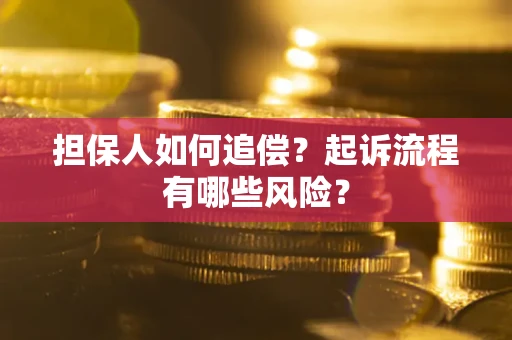 北京担保人如何追偿？起诉流程有哪些风险？