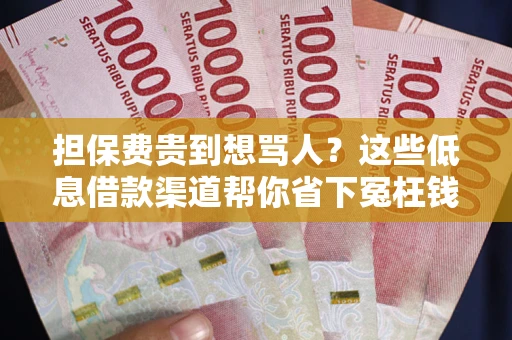 北京担保费贵到想骂人？这些低息借款渠道帮你省下冤枉钱