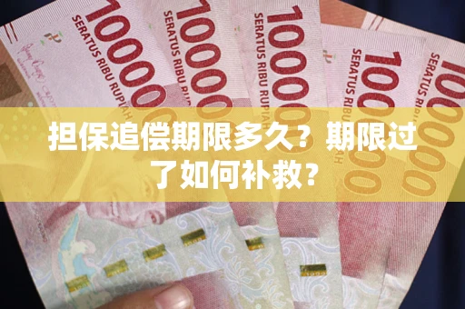 北京担保追偿期限多久？期限过了如何补救？