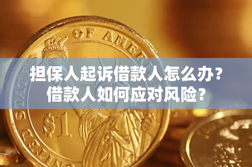 北京担保人起诉借款人怎么办？借款人如何应对风险？