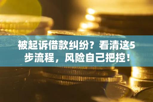 北京被起诉借款纠纷？看清这5步流程，风险自己把控！
